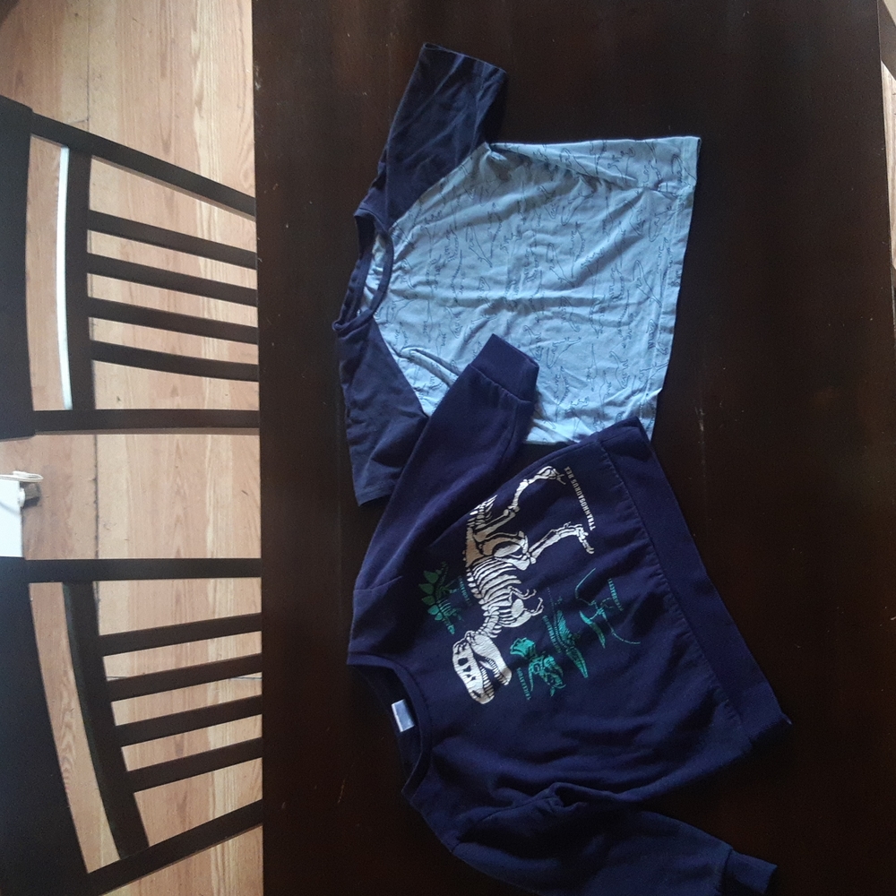 Boys size 5 Dinausaur tops